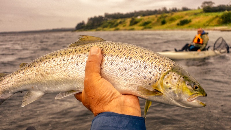 Pontoon seatrout kajak