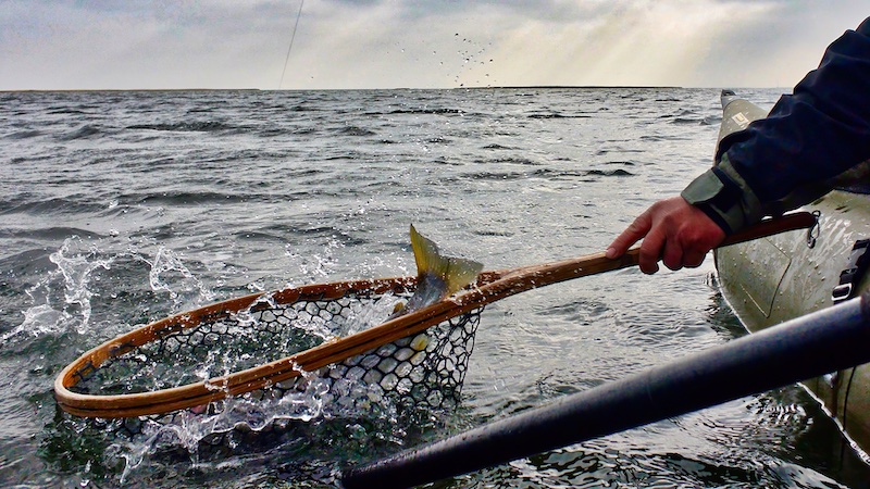 pontoon trout landingnet